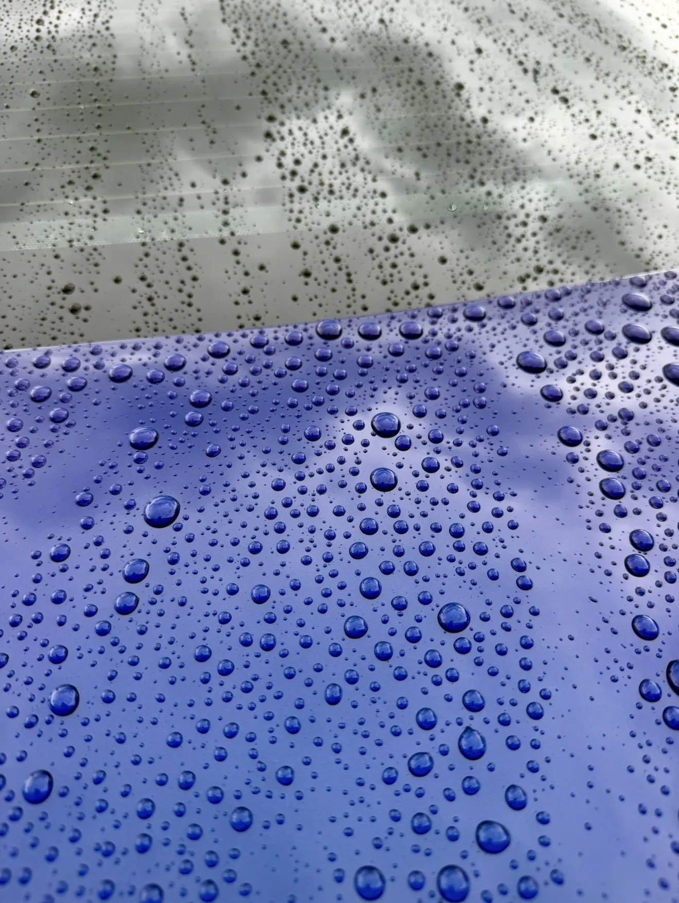 Ceramic Coating by Gulf Coast Auto Studio in Sarasota